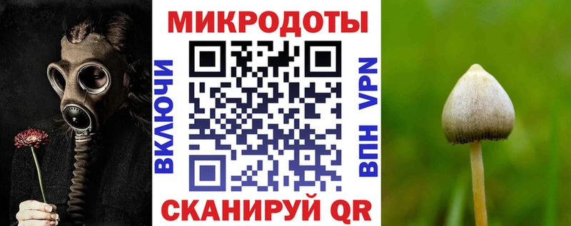 где продают   Пугачёв  Псилоцибиновые грибы Cubensis 